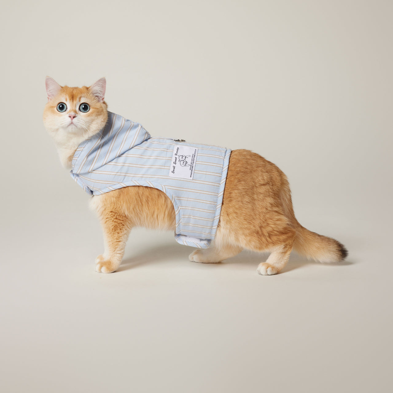 Cat Hoodie Harness