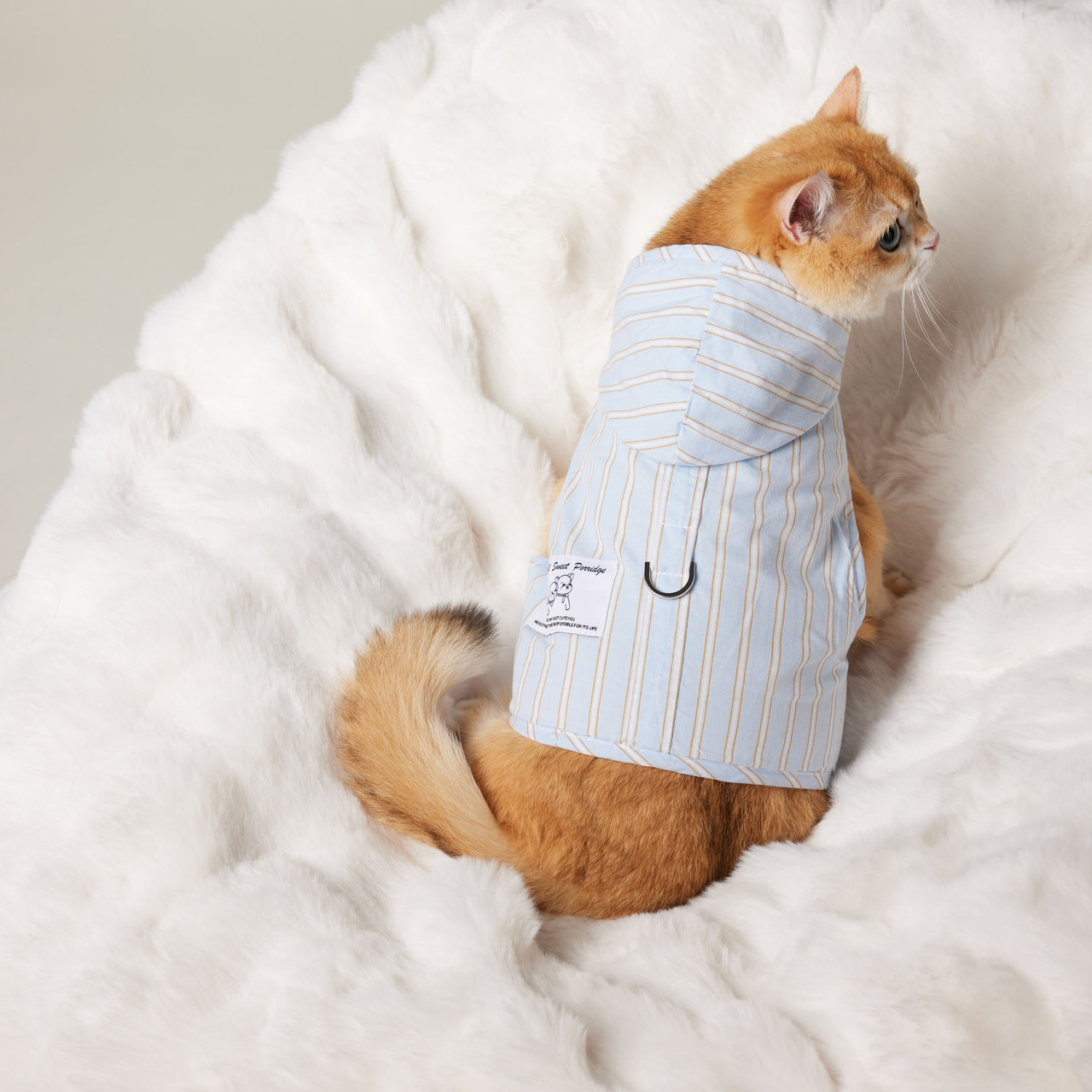 Cat Hoodie Harness