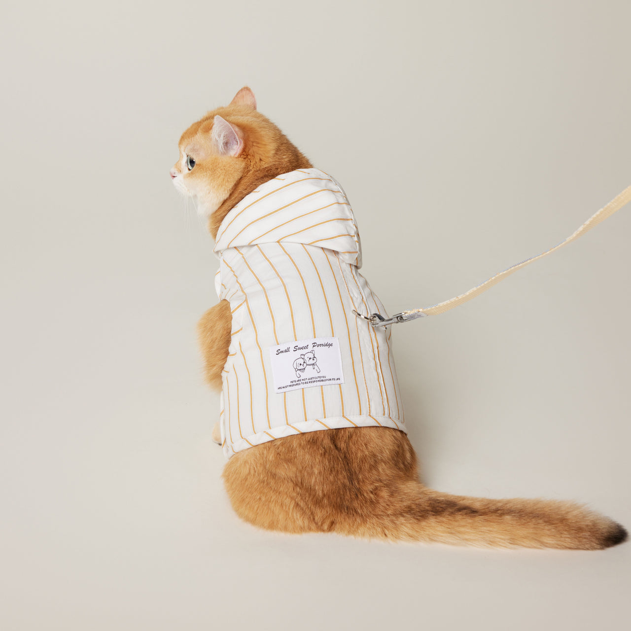 Cat Hoodie Harness