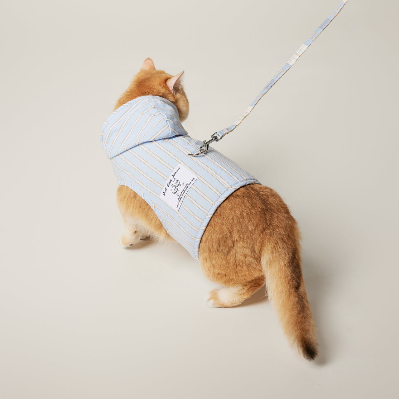 Cat Hoodie Harness