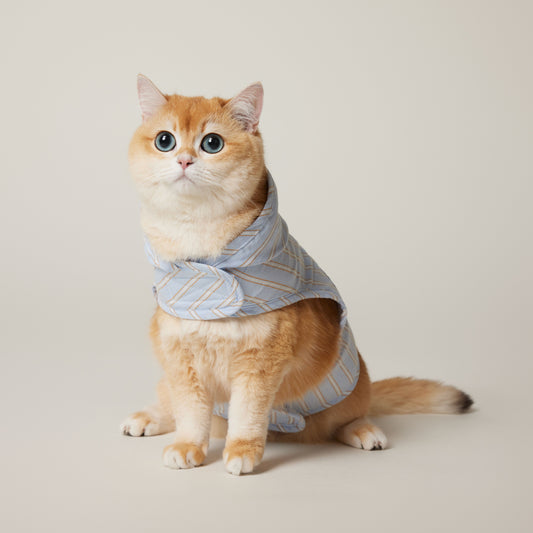 Cat Hoodie Harness