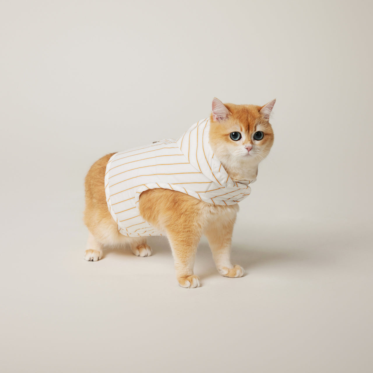 Cat Hoodie Harness