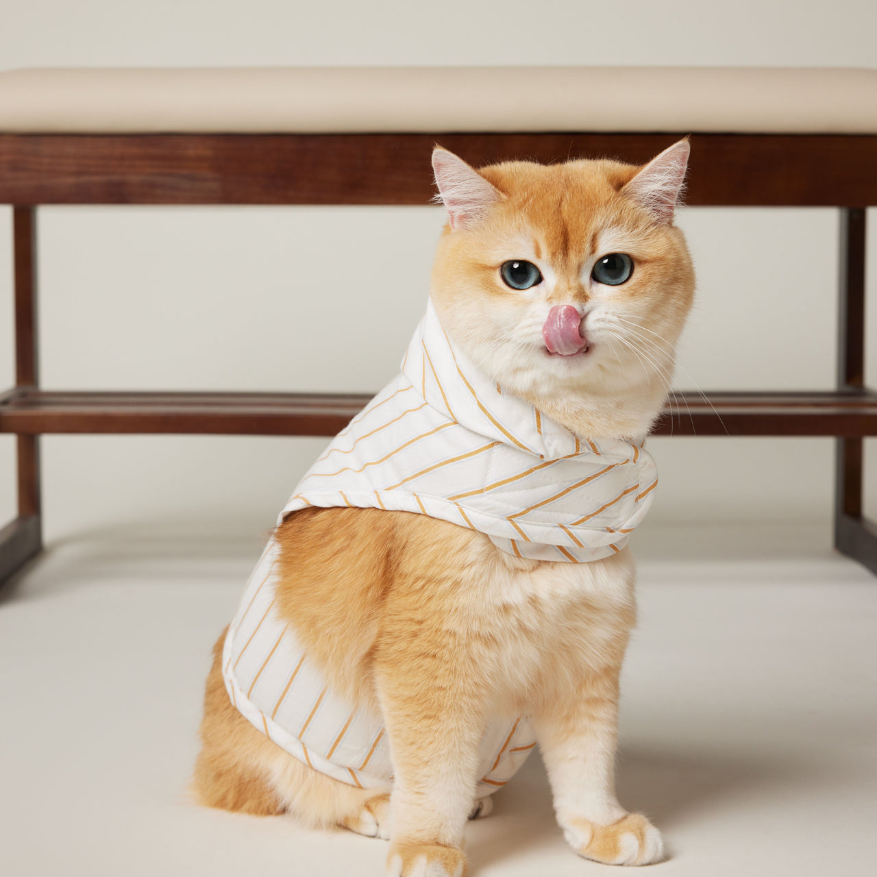 Cat Hoodie Harness